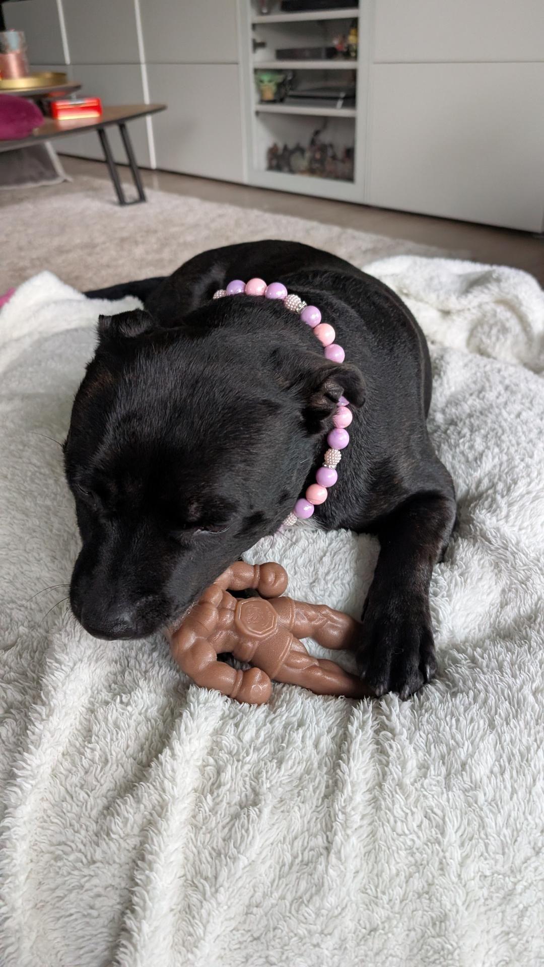 Why Walt Warehouse Chose HappyStaffy