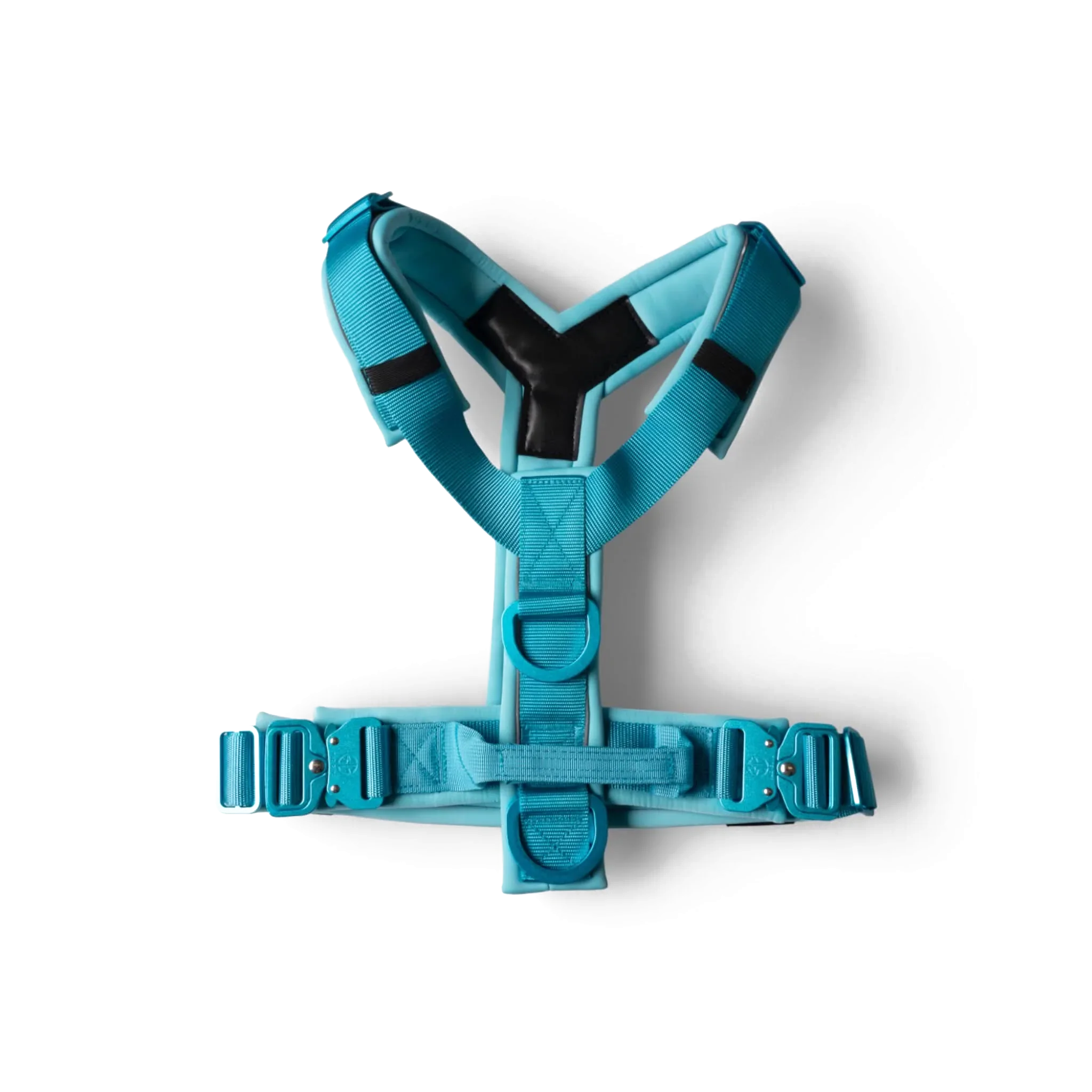 Harness