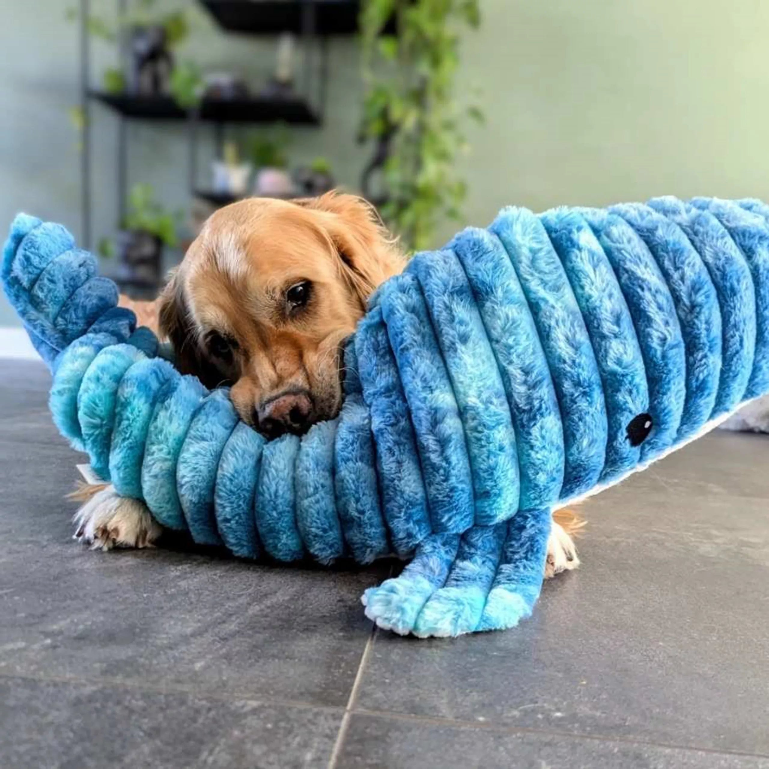 Quapas! Whale Plush Dog Toy  66 cm