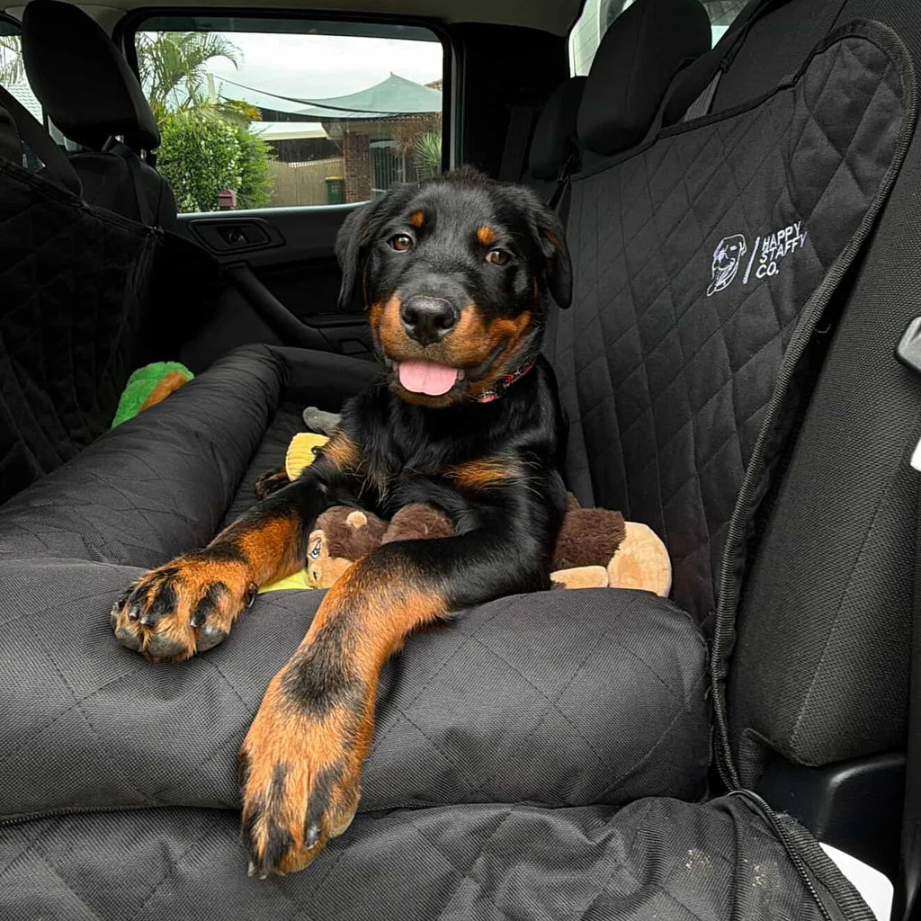 Premium Car Seat Protector