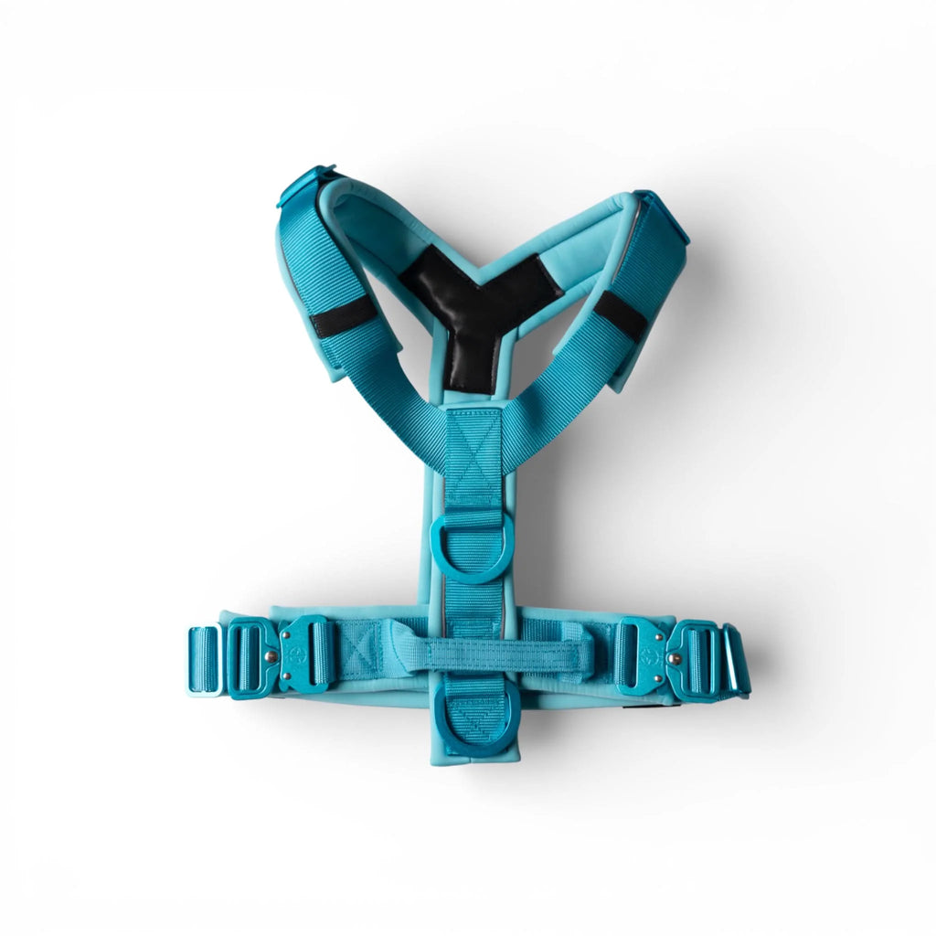 Crime 3.0 Tuig Blue Sky L