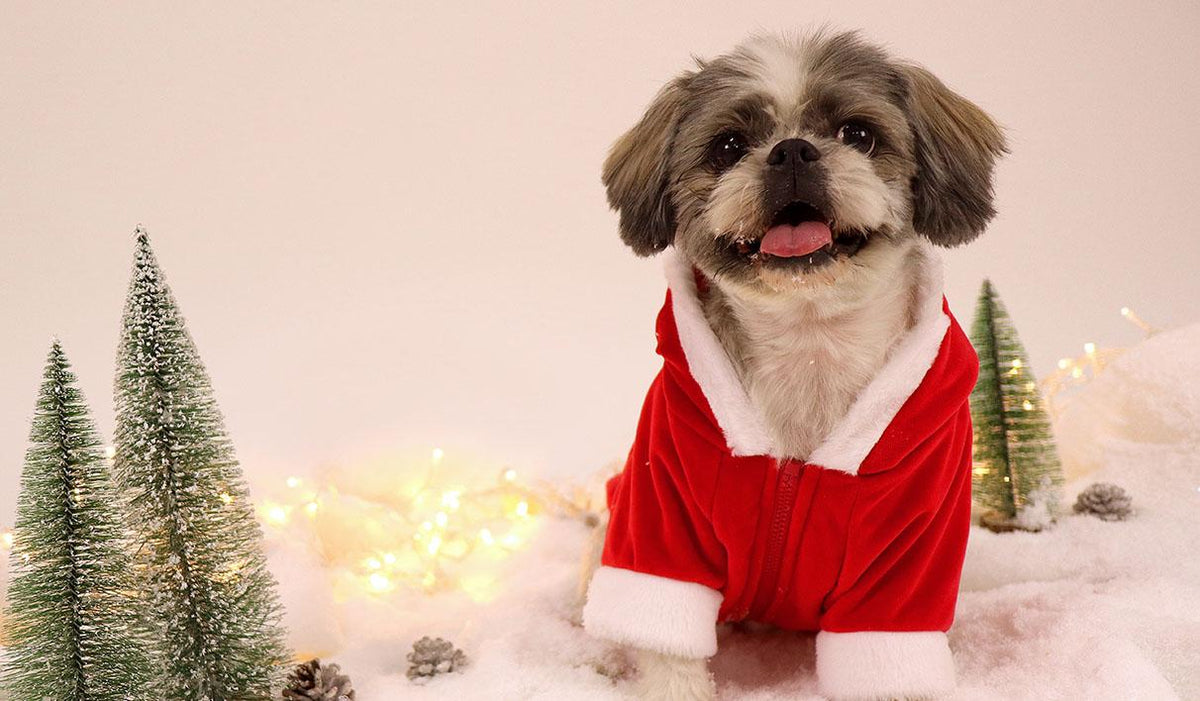 Dashi Santa Hoodie – Kersthoodie voor honden