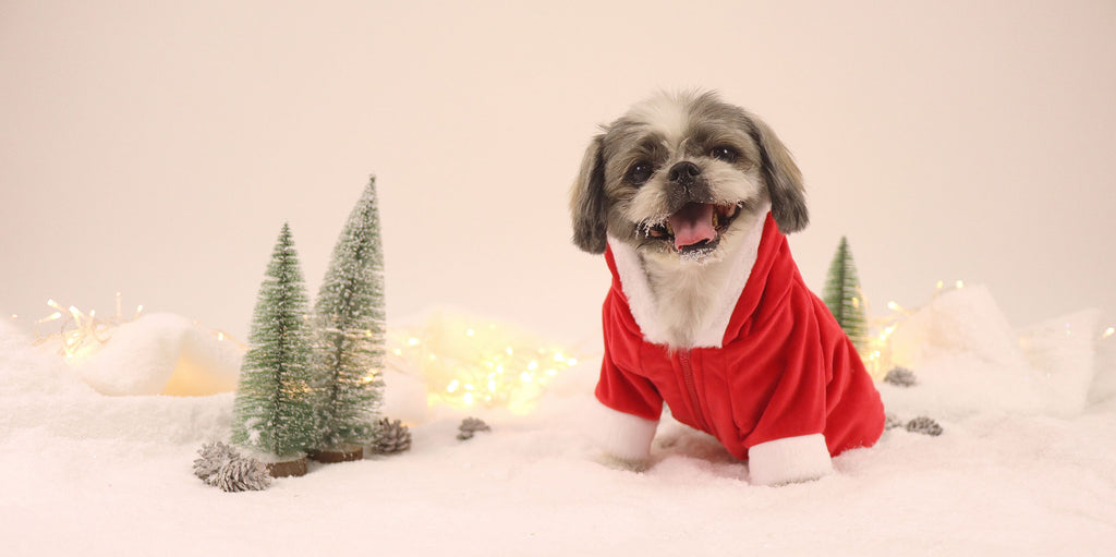 Dashi Santa Hoodie – Kersthoodie voor honden
