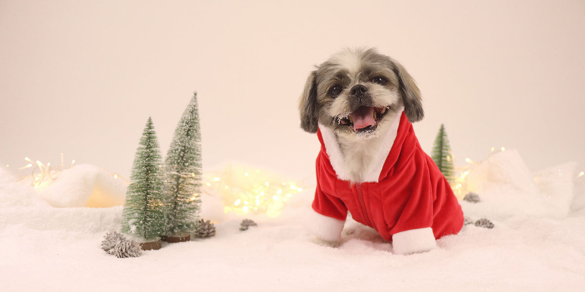 Dashi Santa Hoodie – Kersthoodie voor honden