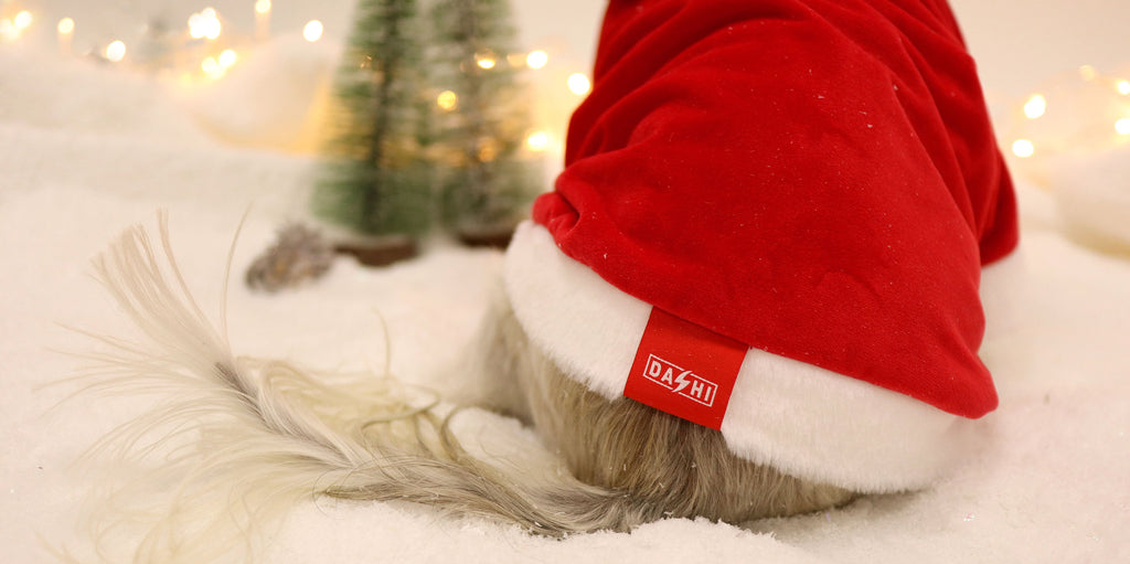 Dashi Santa Hoodie – Kersthoodie voor honden