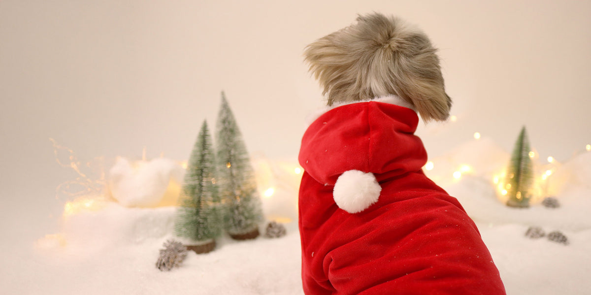 Dashi Santa Hoodie – Kersthoodie voor honden