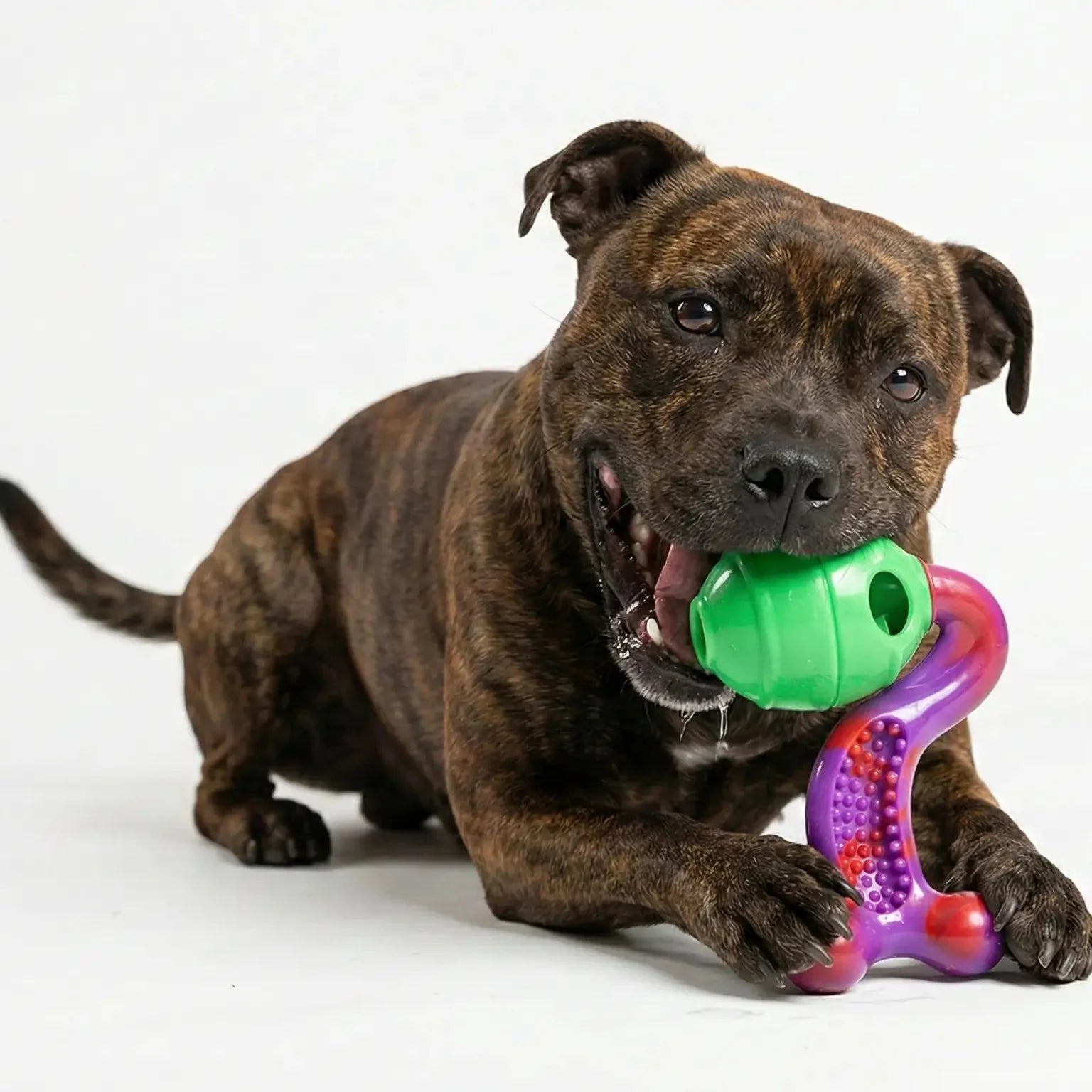 The Chewzilla® Treat Dispenser