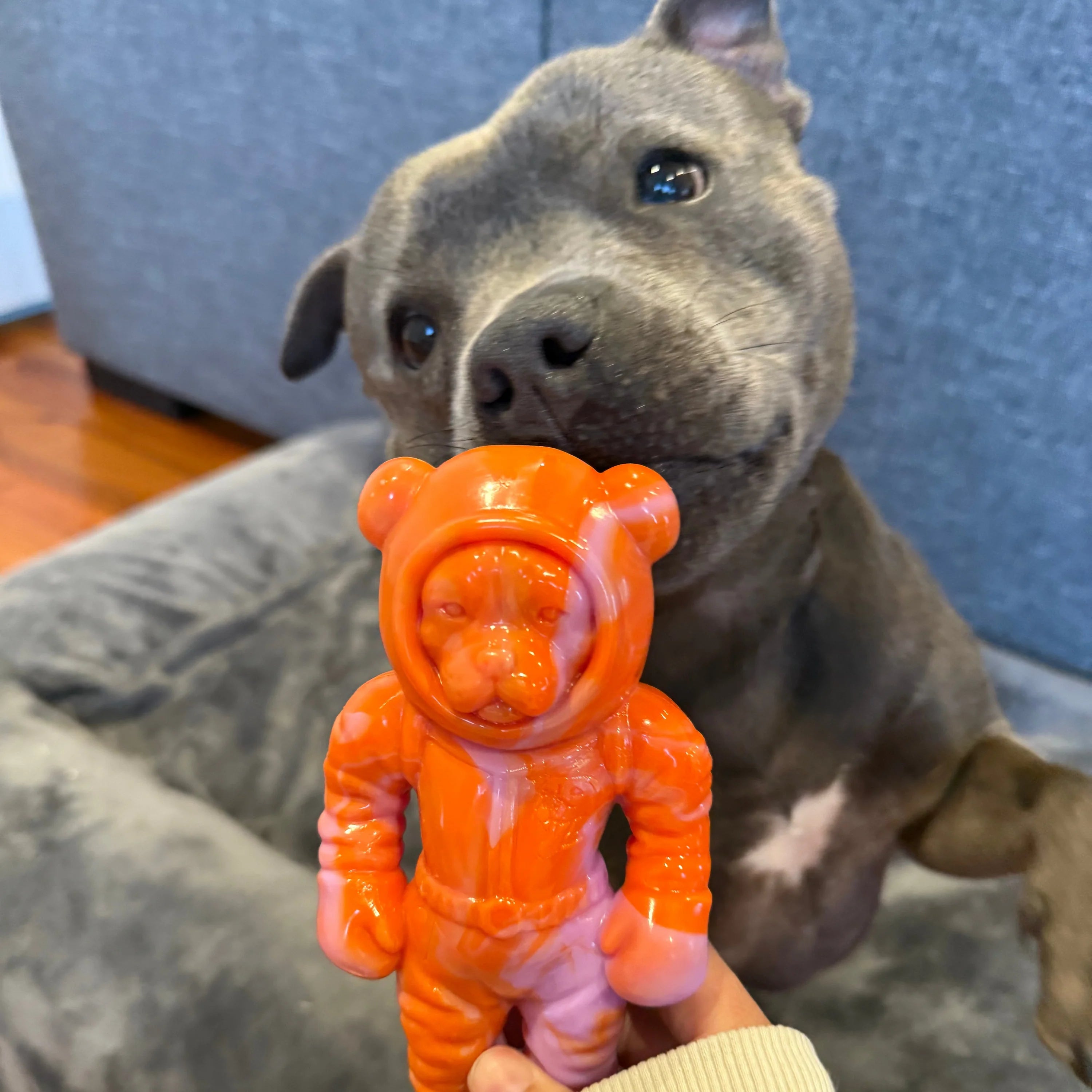 Astro Pup