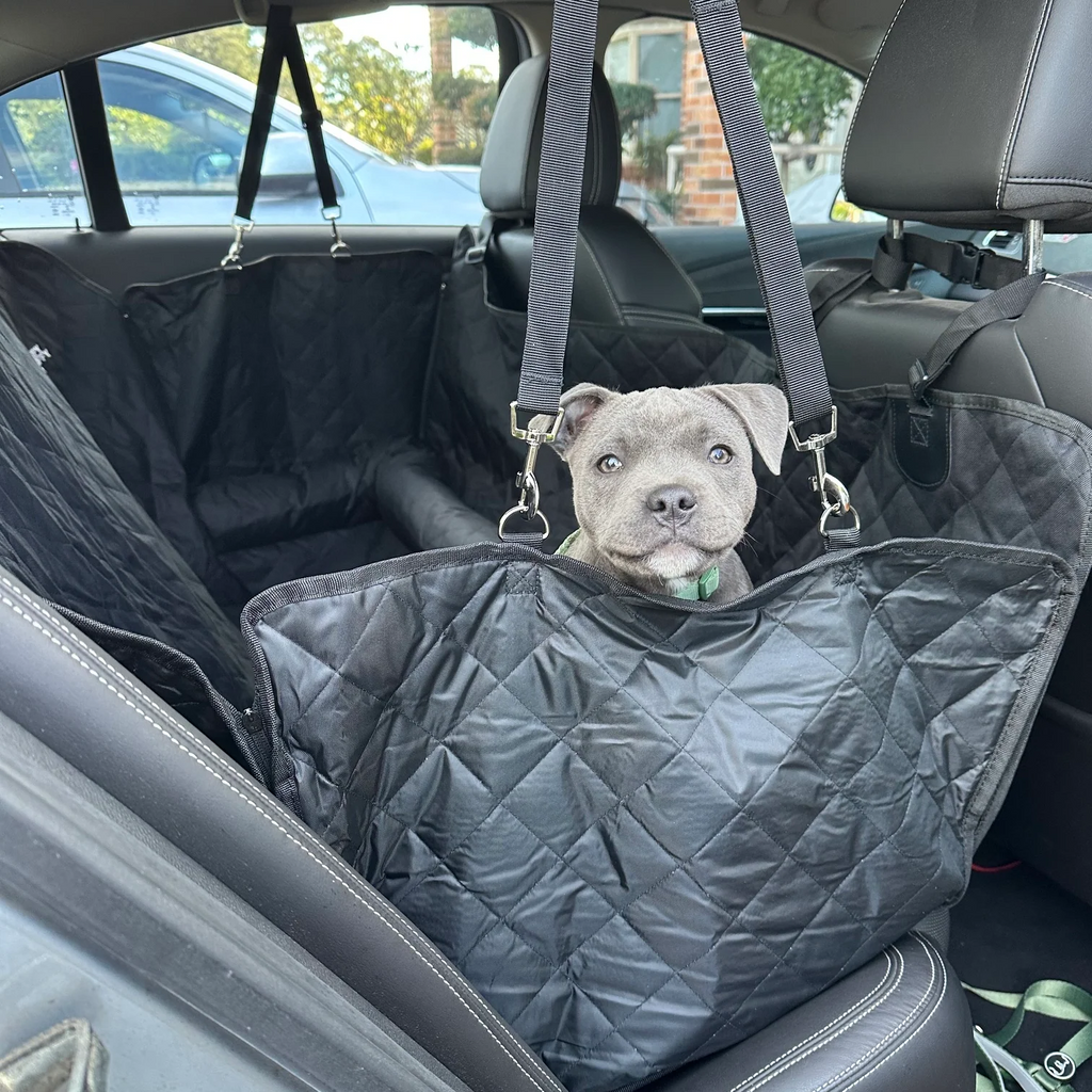 Premium Car Seat Protector