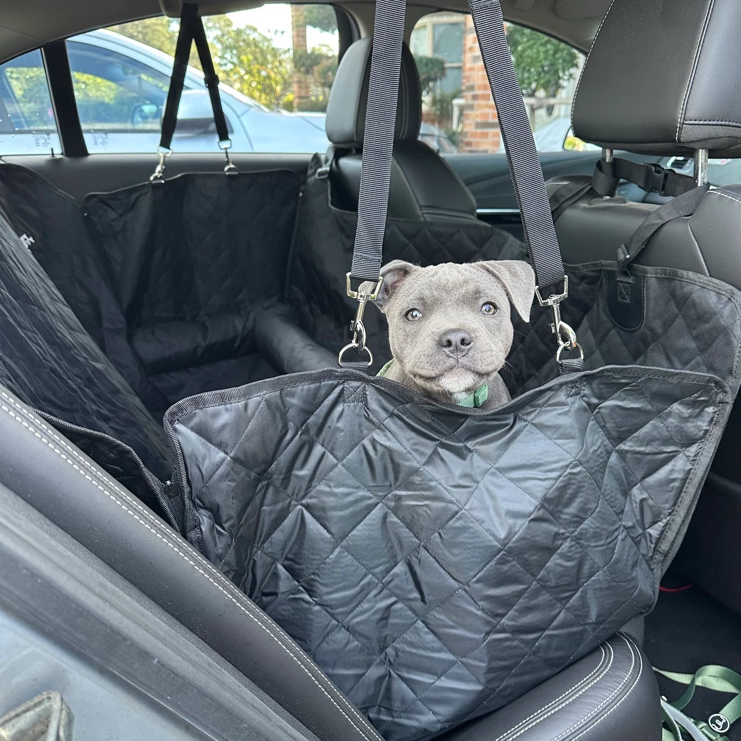 Premium Car Seat Protector