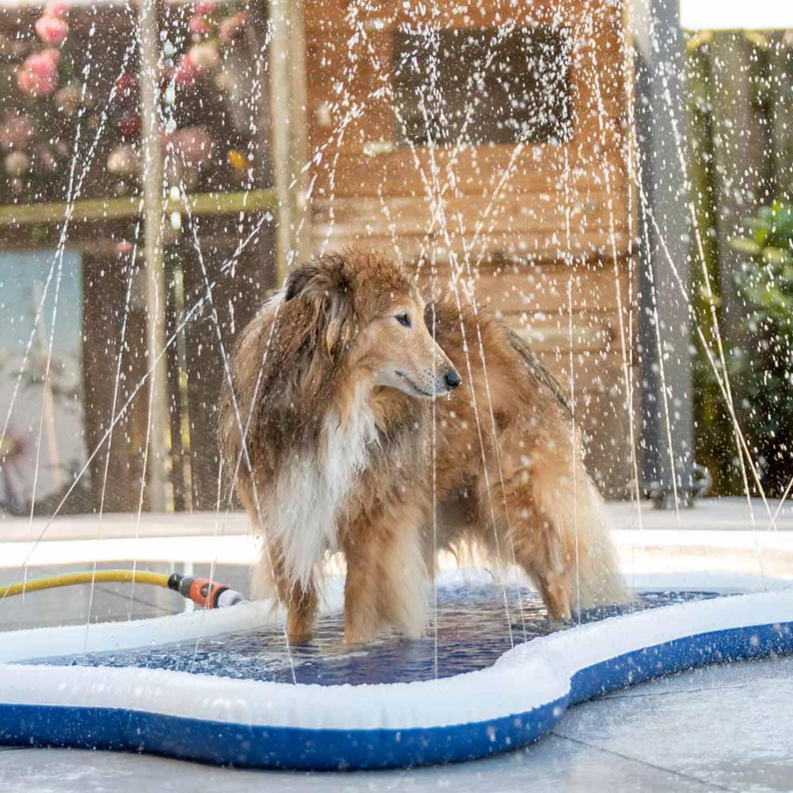QUAPAS! Splash Mat
