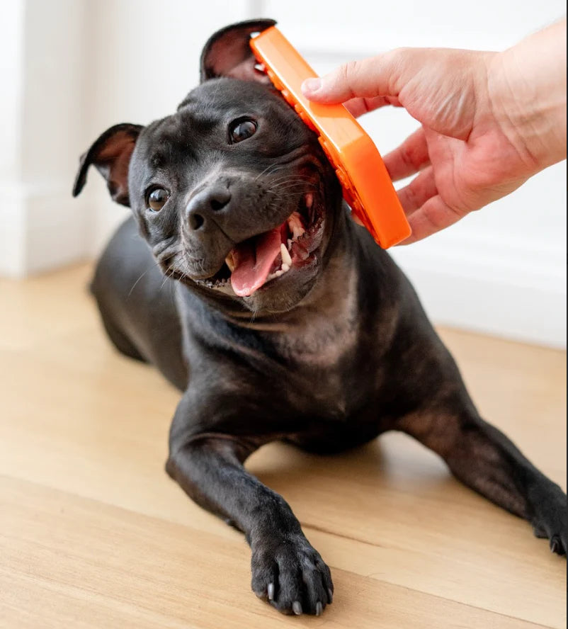 Chewzilla® iBone