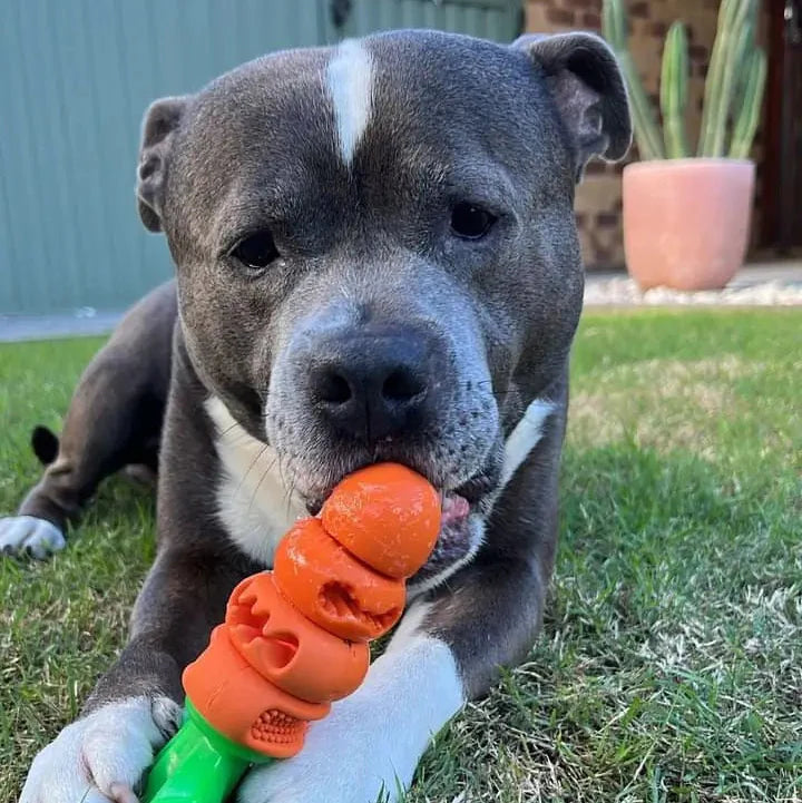 Chomp Carrot