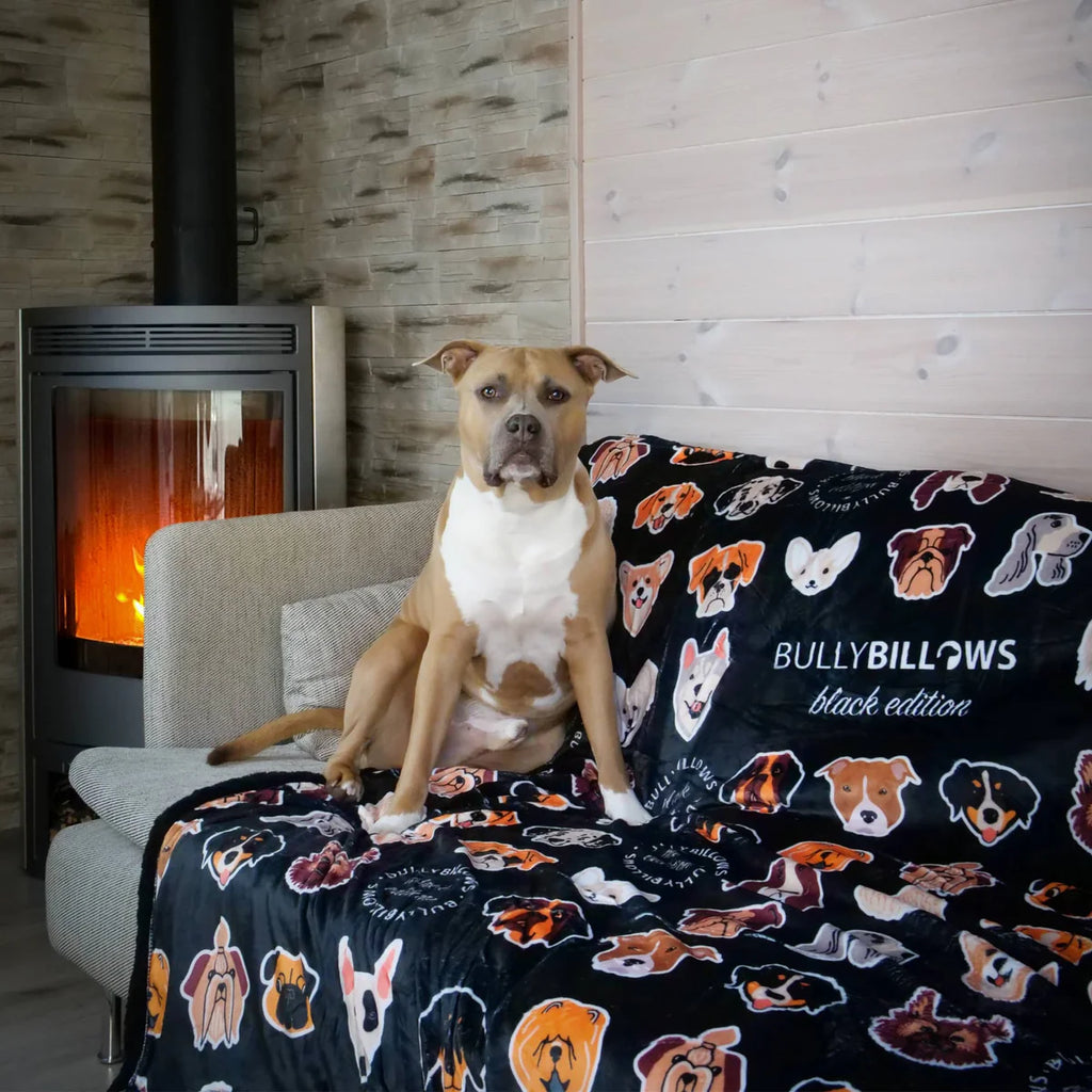 Black Edition  Luxe hond & mens deken