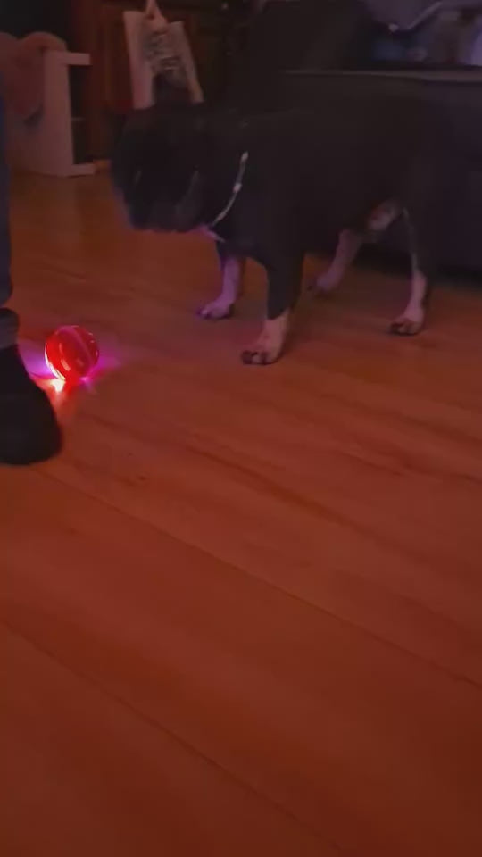 Dog Comets Helix Interactieve Hondenbal Groen