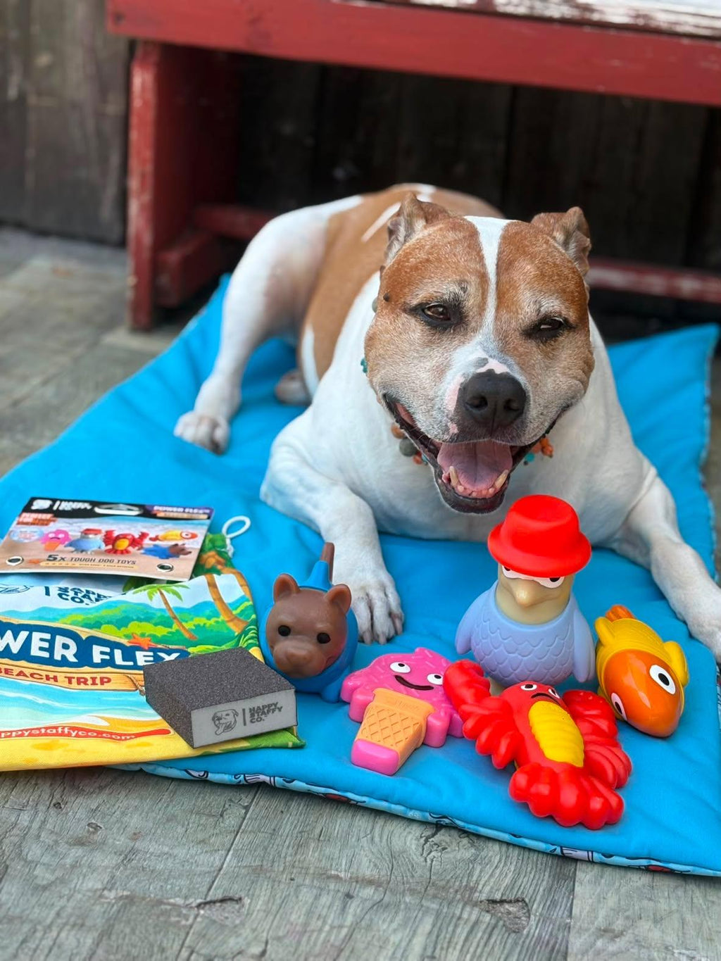 PowerFlex™ Beach Trip Collection